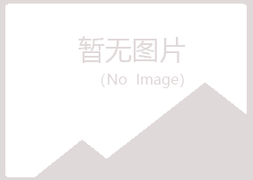 黄骅山柳工程有限公司